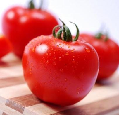 番茄,名符其實的長壽果