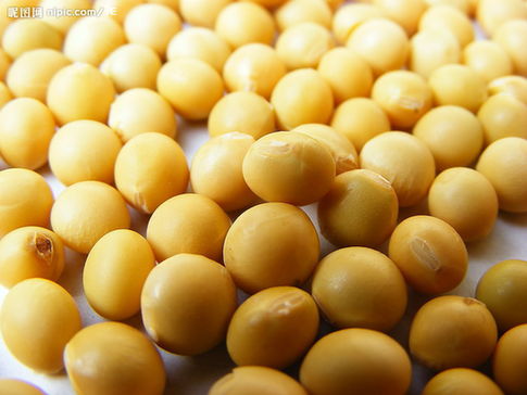 黃豆的8種保健養生功效
