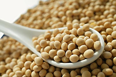 大豆--避免饑荒的重要武器
