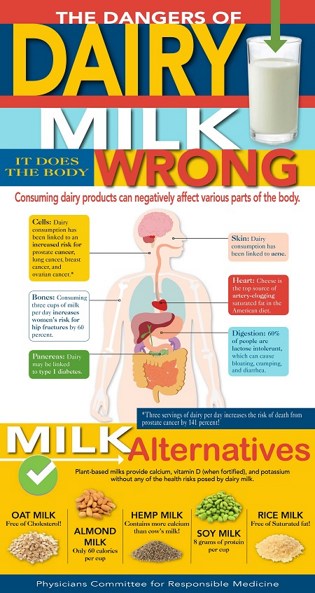 揭穿5種關於牛奶的神話
