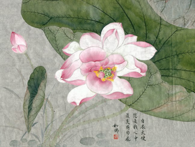 為什麼佛教常用蓮花呢