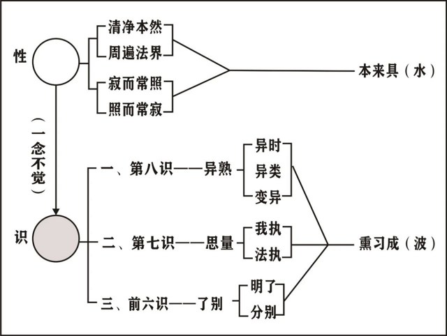 淨界法師：唯識學概要