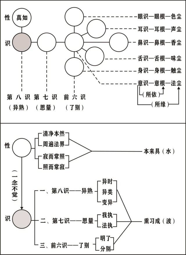 淨界法師：唯識學概要