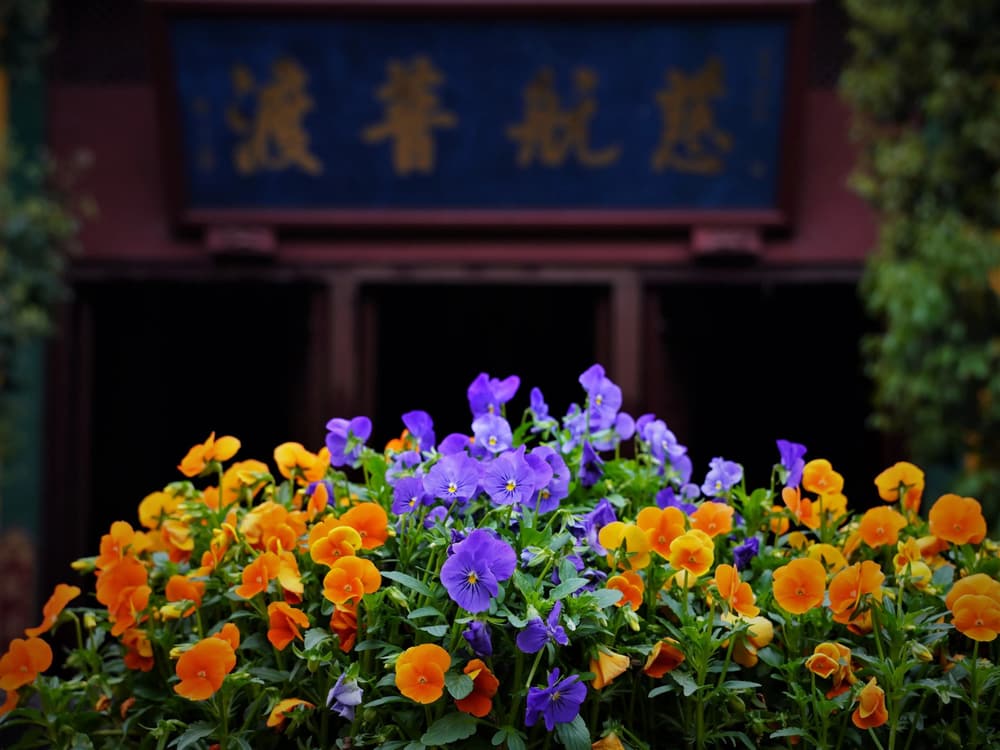 如何修自性空觀