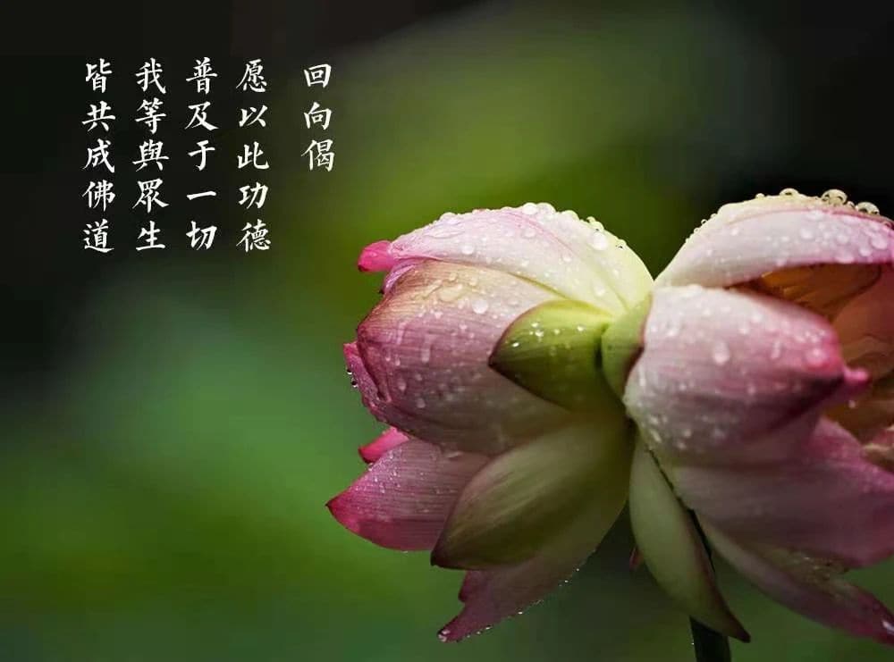 念佛人一定要把佛號的味道念出來