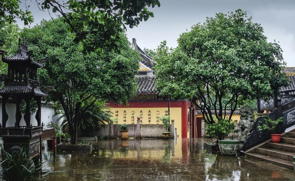 皈依三寶，彌勒初會解脫生死