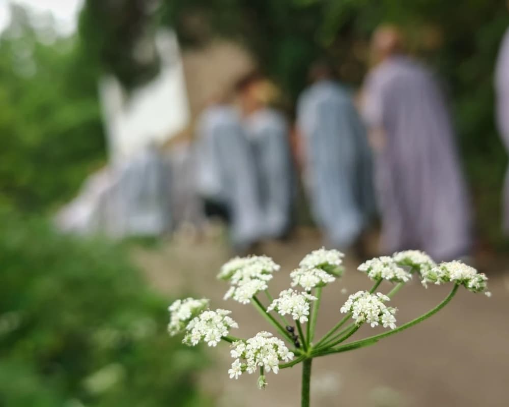 打過佛七跟沒有打過的人修行上有什麼差別