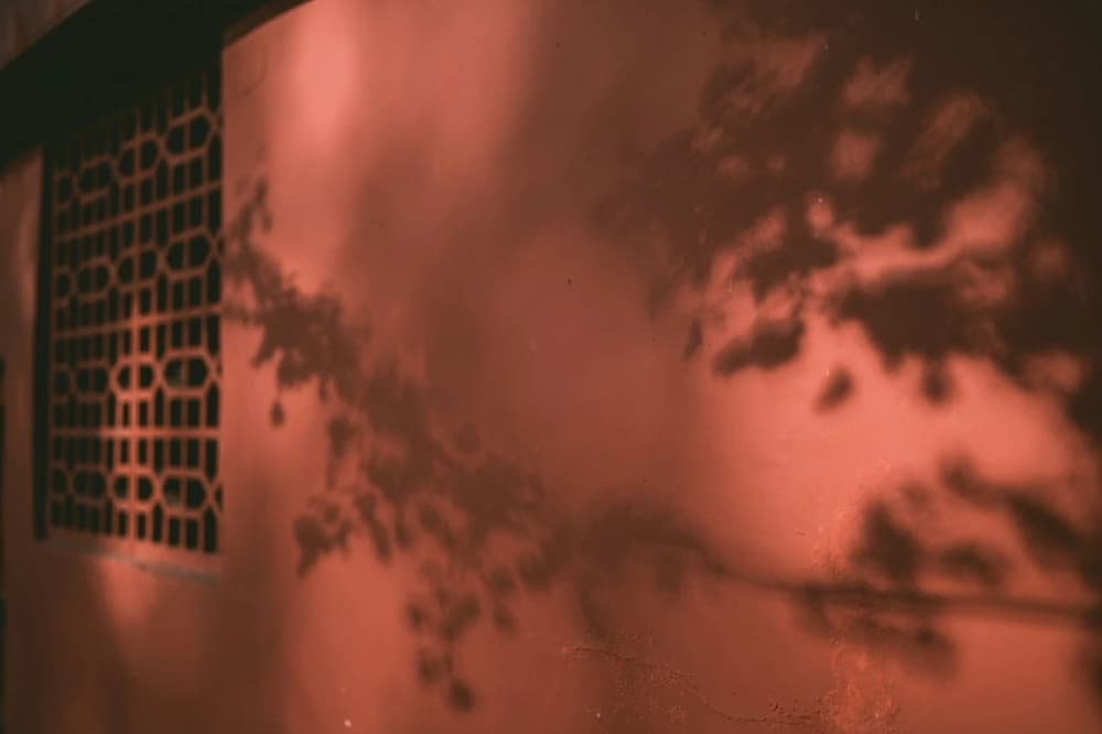 平常修福報，最好迴向臨終無障礙