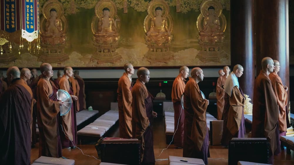 造罪懺悔了，為什麼還要受苦報