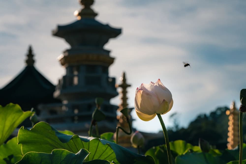 從本覺、始覺到覺行圓滿的修證次第