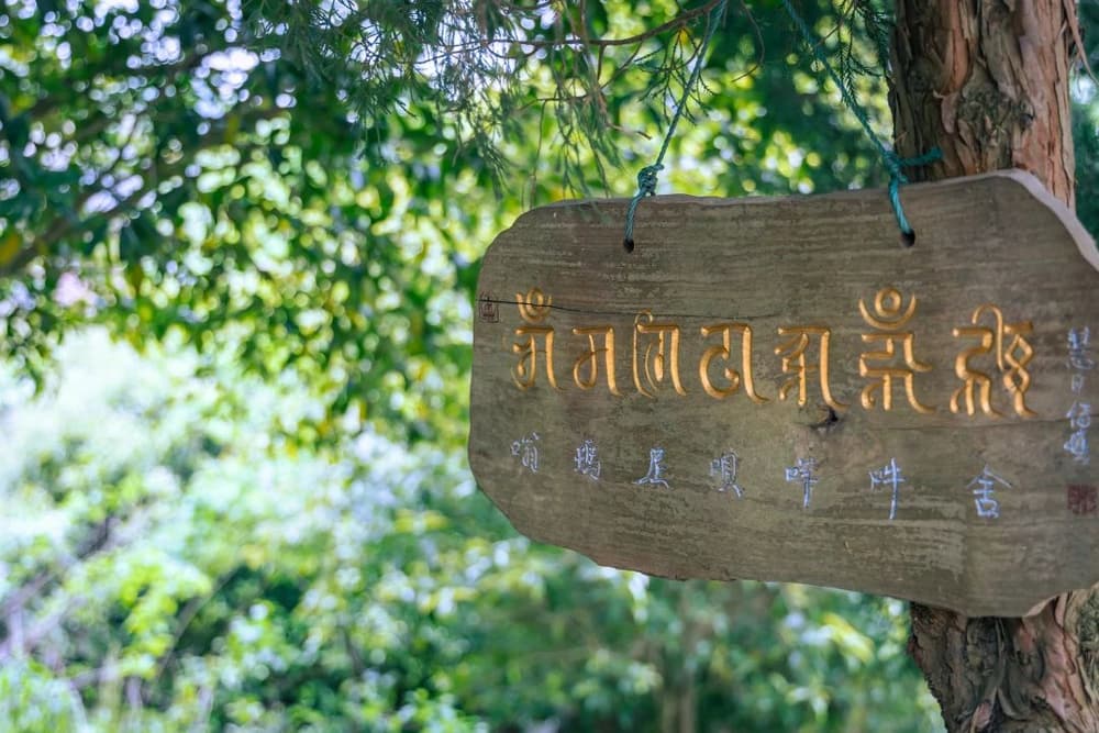 如果你願意調整，你的命運就能夠改變