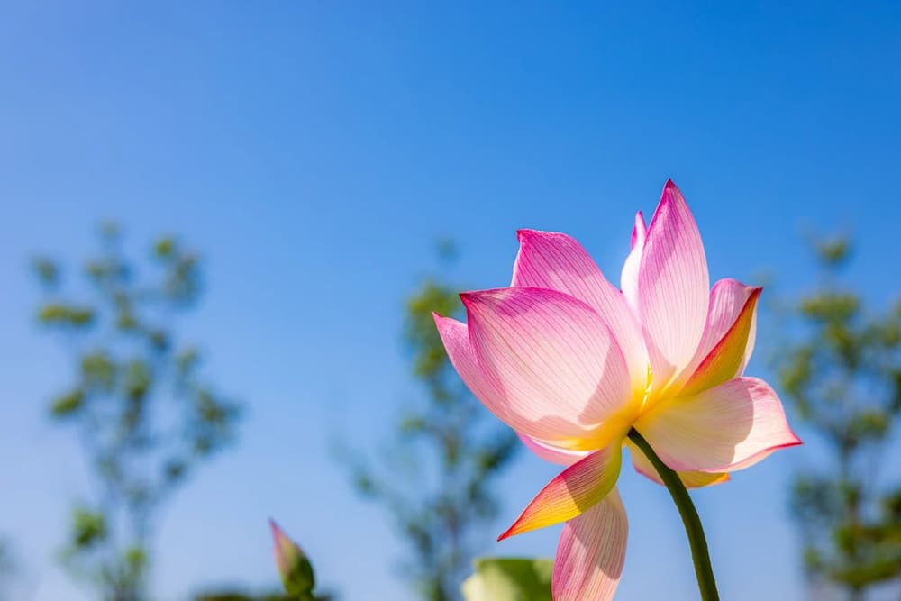 塵勞煩惱處，才好種如來種