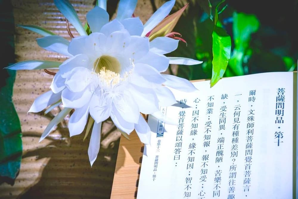 好好發心，把殺生這個業給轉了