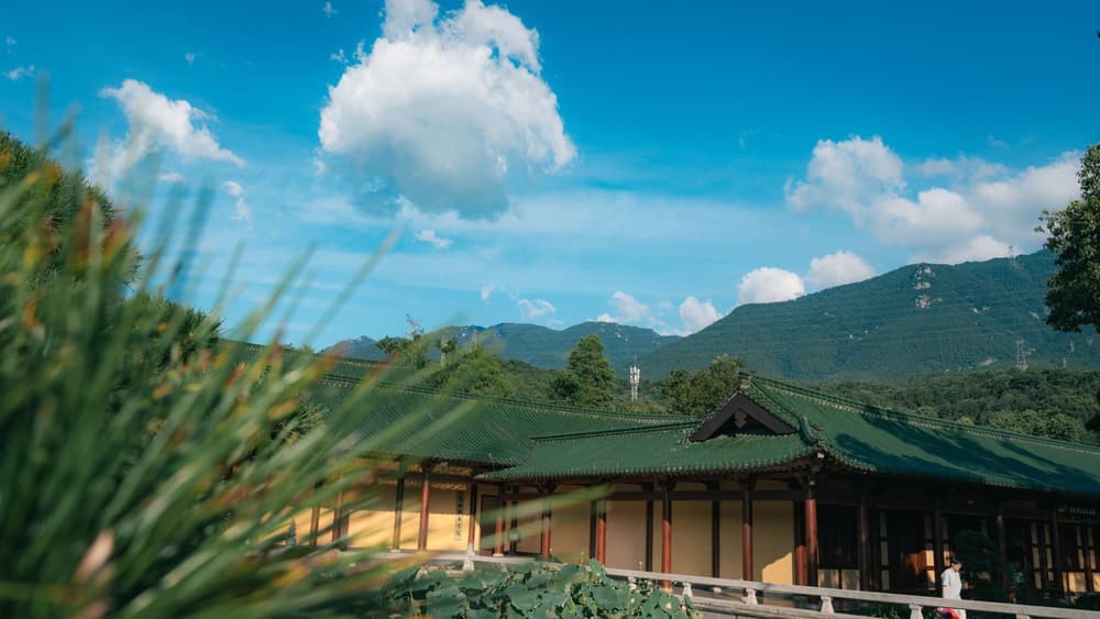 閉淨土關的規則