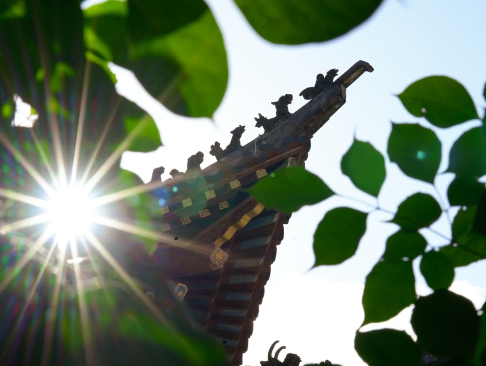 有情的身心：四大