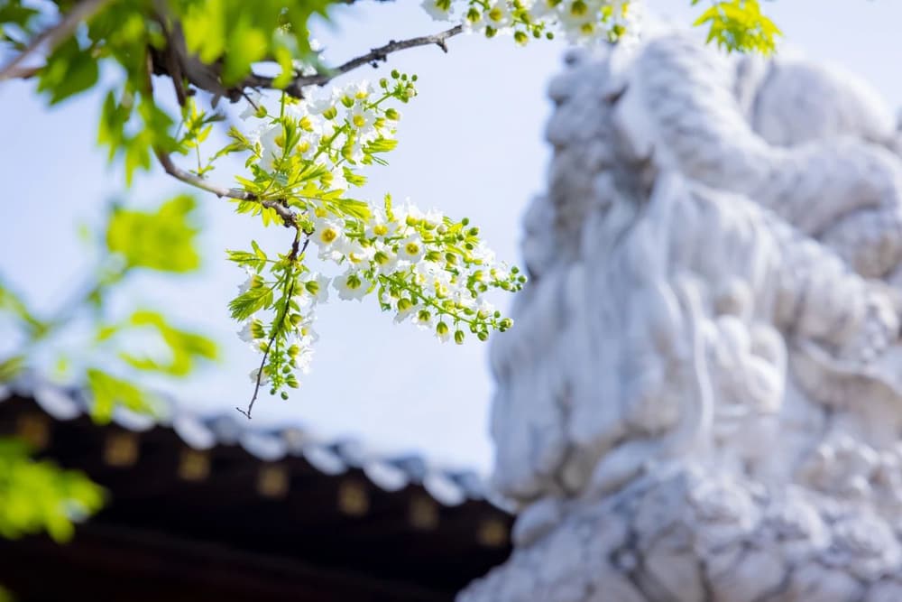 聞法歡喜，乃至一念，皆得授記