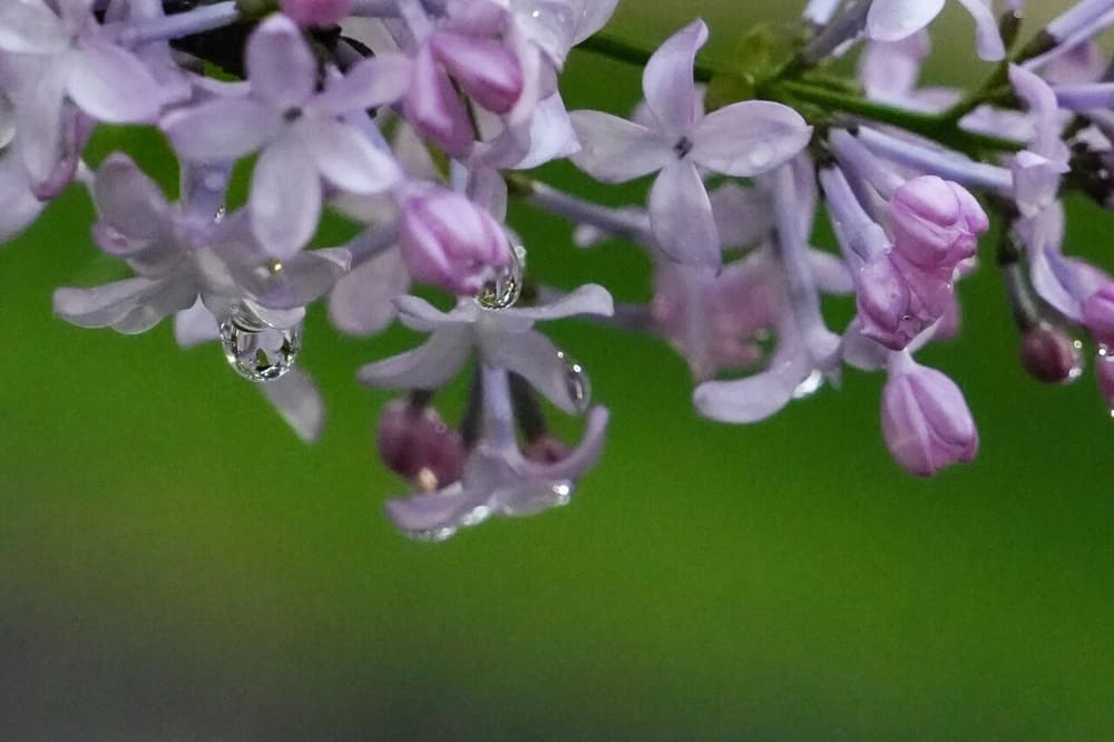 若實無我，誰能造業？誰受果耶