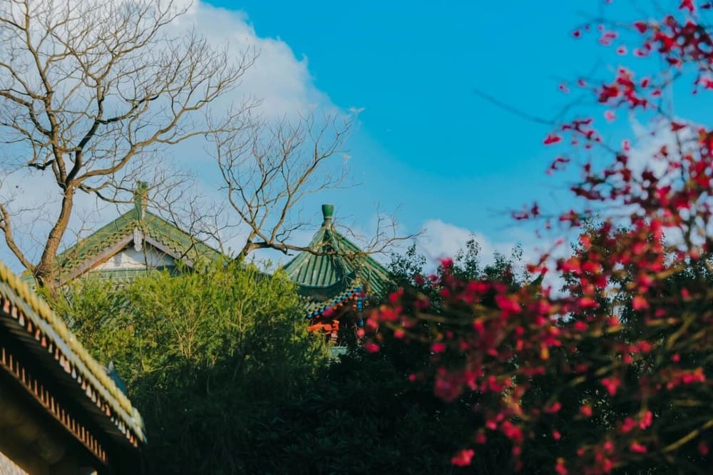 如何讓家屬理解與配合成功助念