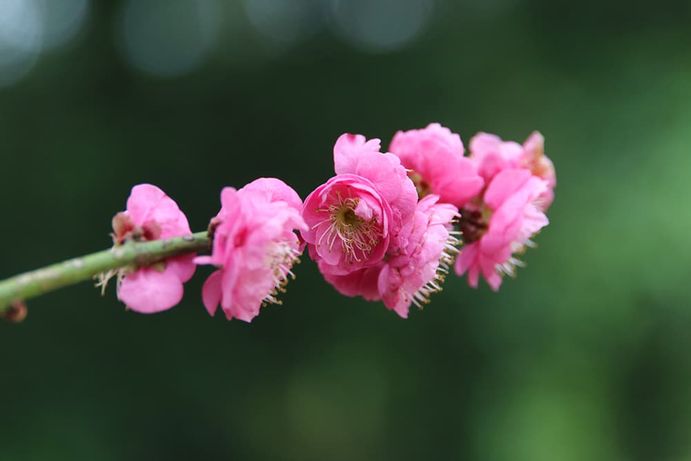 不執事相，不廢事修