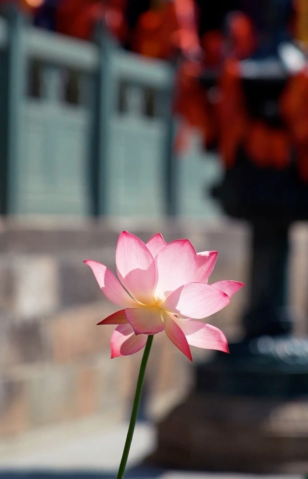 一專為憶，一人專忘