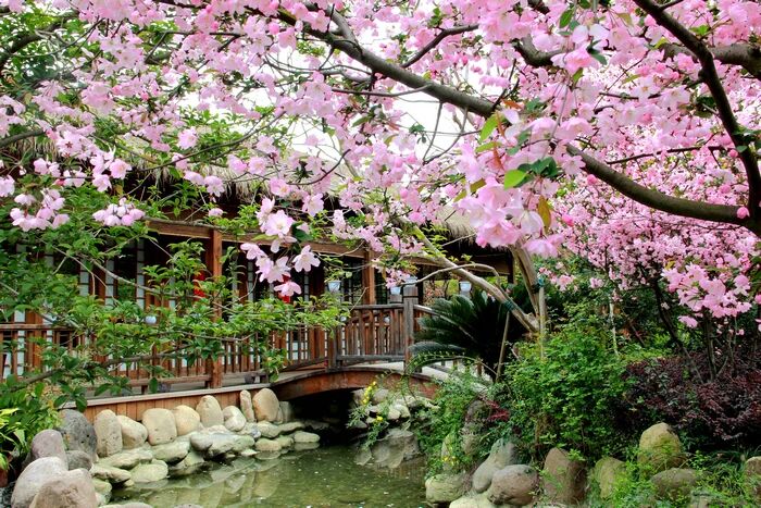 緣起性空跟一心三觀有何不同