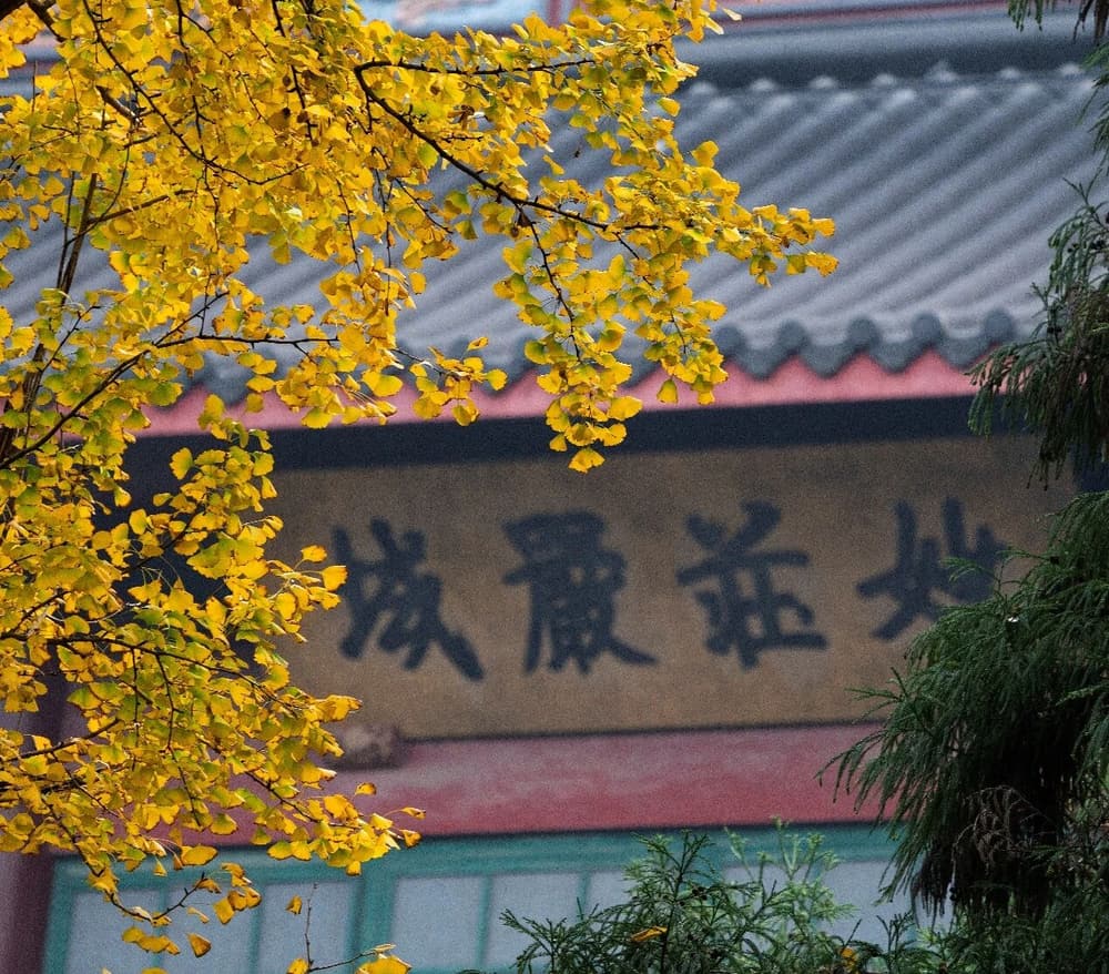 阿彌陀佛聖號甚難稀有，要好好珍惜