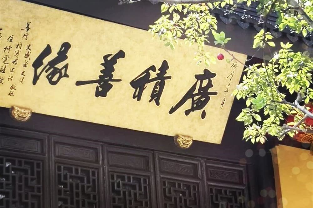 遇到菜市場的魚蝦、路邊的貓狗，請為它們念這些佛號