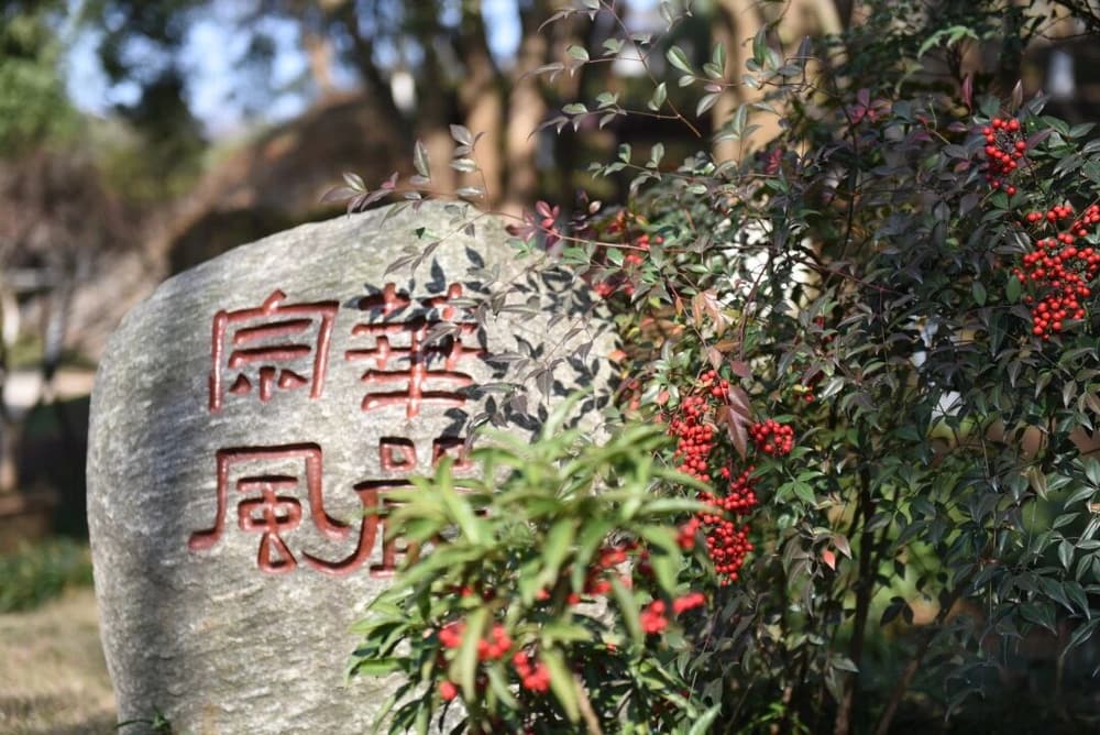 在法上不能讓步，該說的一定要說