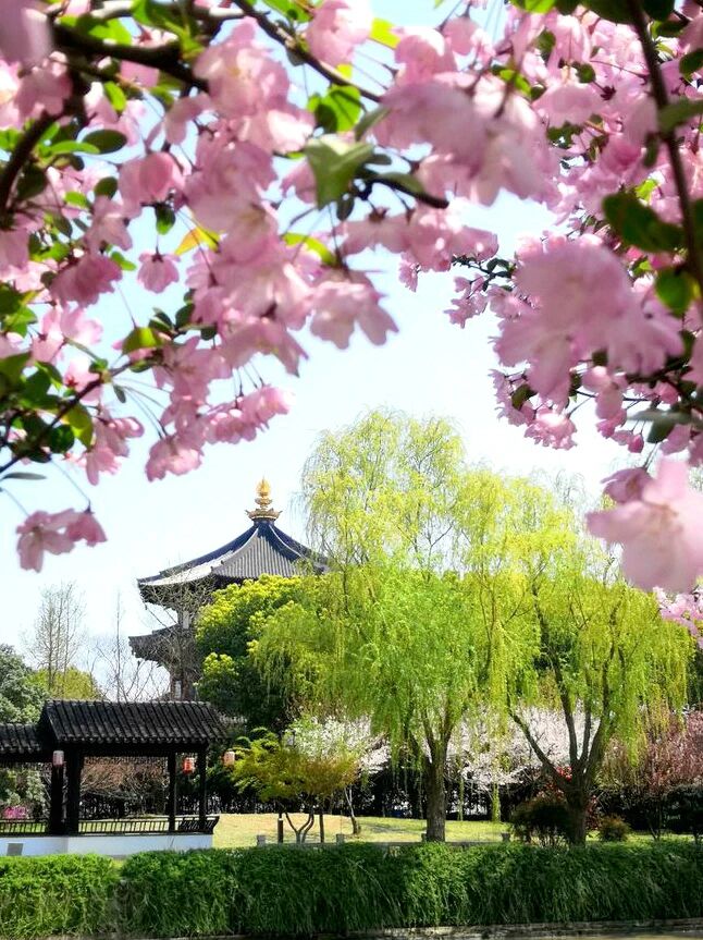 大梅法常禪師的悟道因緣