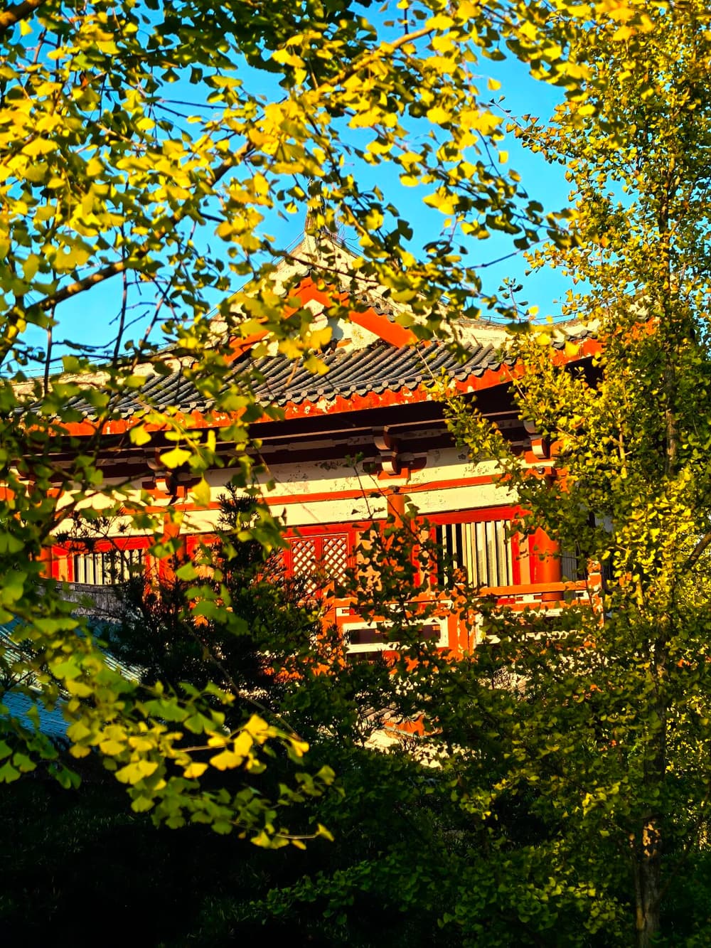 妄語的基本定義有兩個