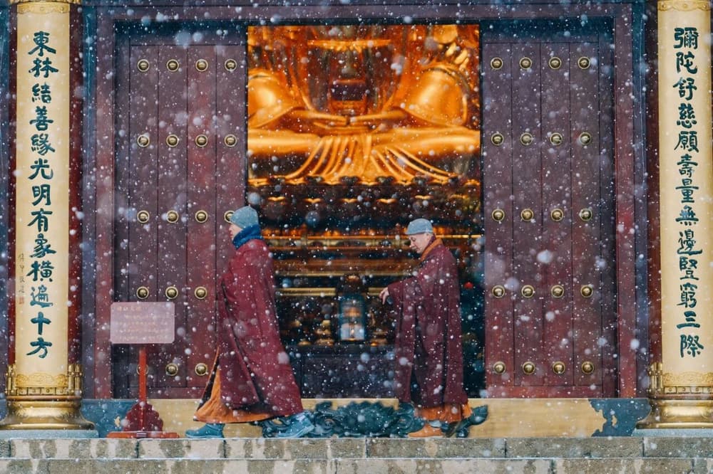 阿難恆隨侍佛的因緣