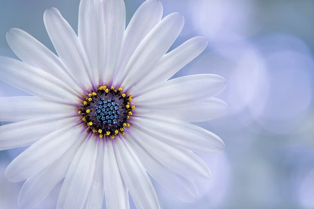 無止境的貪慾，會帶來煩惱，甚至災禍