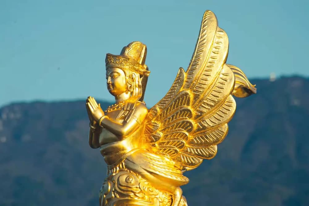 生命是可以改造的，因為我空，法空