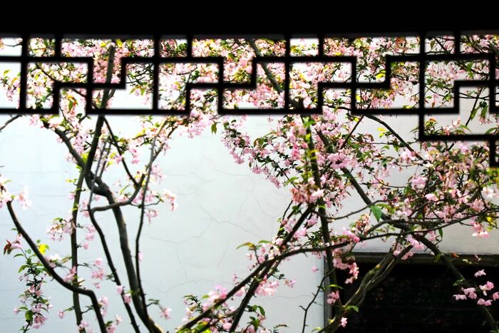 佛滅度後,應將心安住四念處中