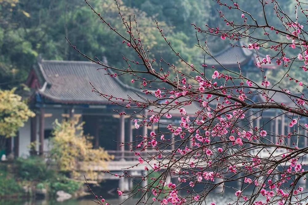 六度的修學有三個重點