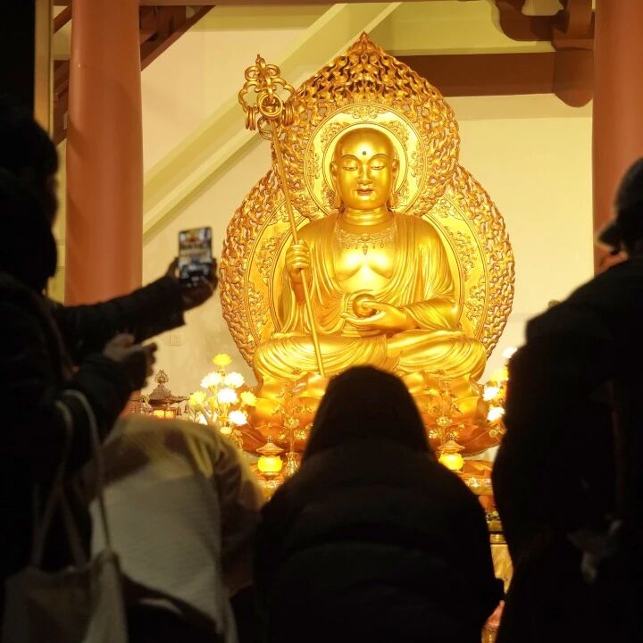 萬佛聯手設局，只為度我