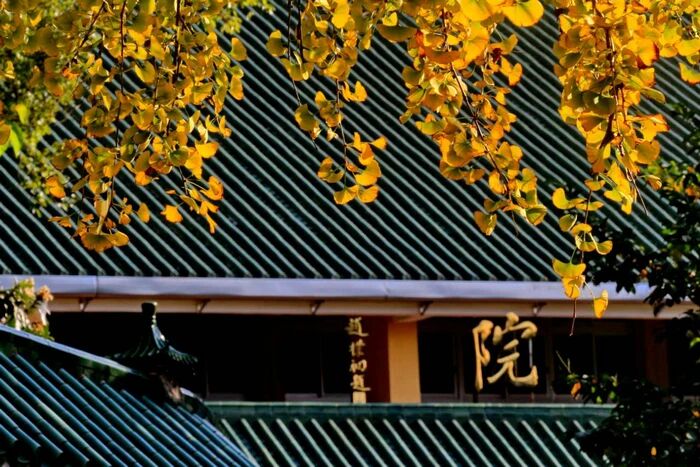 止心過頭，無不增病