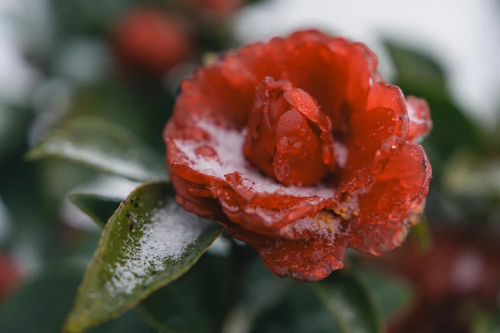 憑什麼先人造的孽，卻叫兒孫後代遭殃