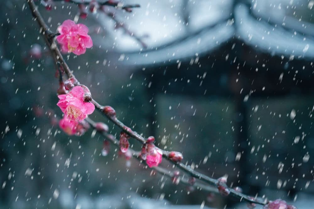 三位道人的得道因緣