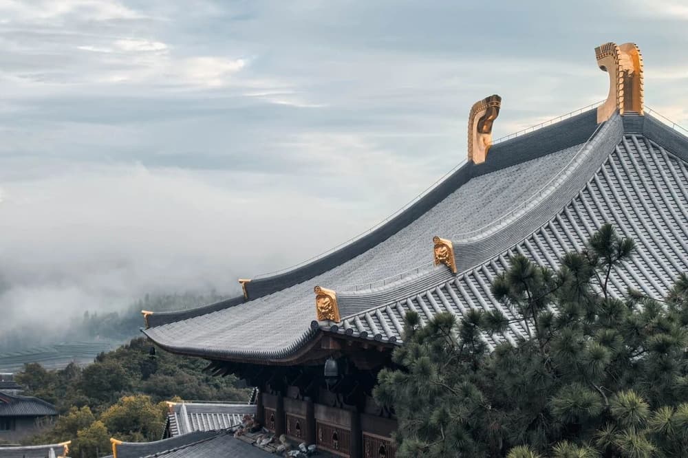 八難當中除了三惡道，天上也是障礙