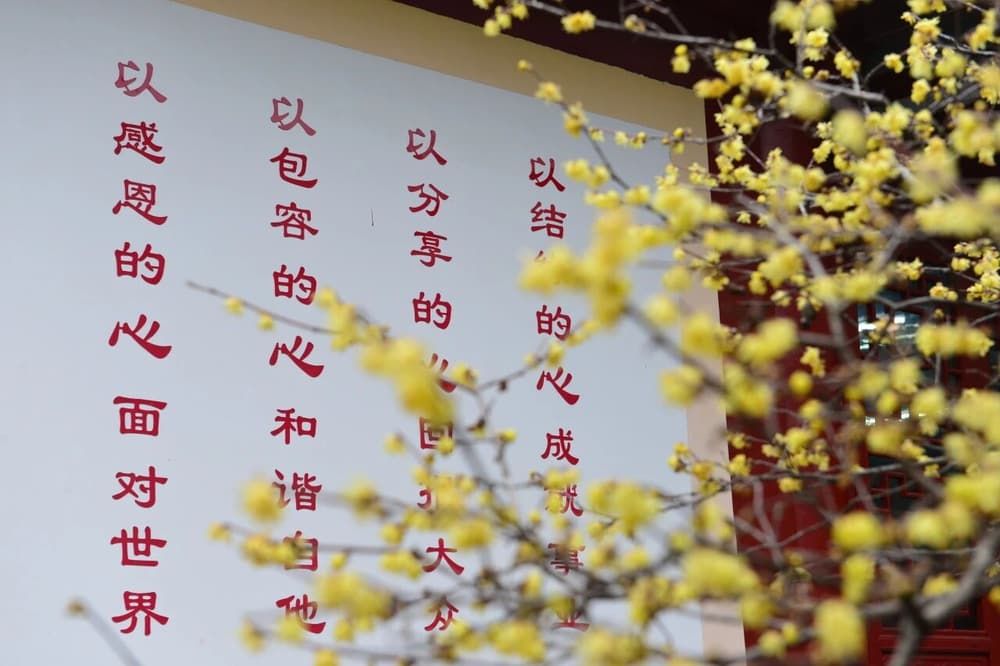 在選擇善知識的問題上，誰的名聲大跟誰學，這樣對嗎