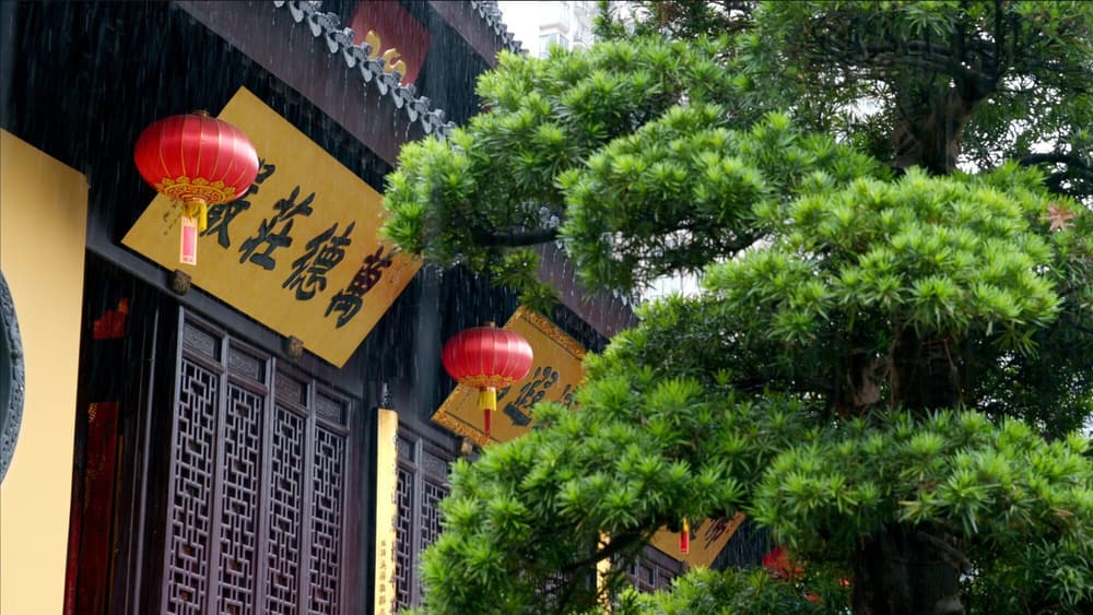 帶相觀空，文以載道