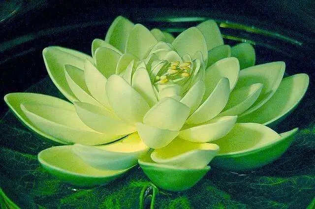 四念處之觀心無常