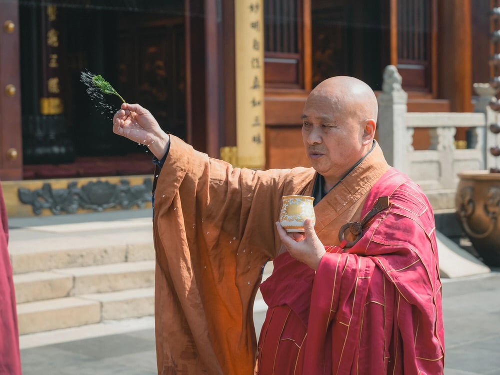面對跳蚤、瘧蚊、蟑螂等，如何才能不犯殺戒